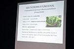 I Semana Acadêmica de Nutrição da FAPAR