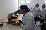 Acadêmicos do curso de Farmácia em atividade no LMC - Laboratório Municipal de Curitiba